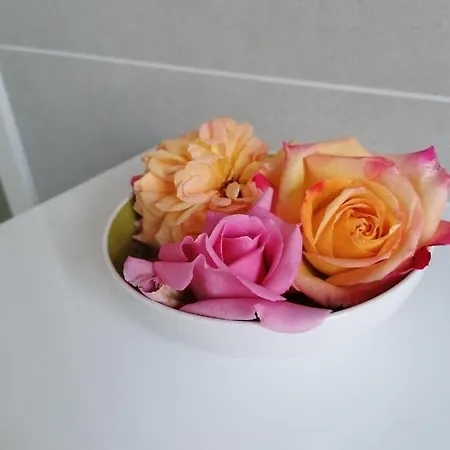 Italaforesteria Gasthof 3*